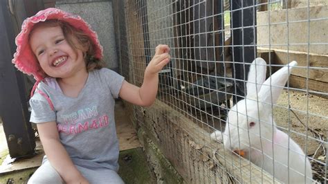 Bunny sanctuary near me. Things To Know About Bunny sanctuary near me. 